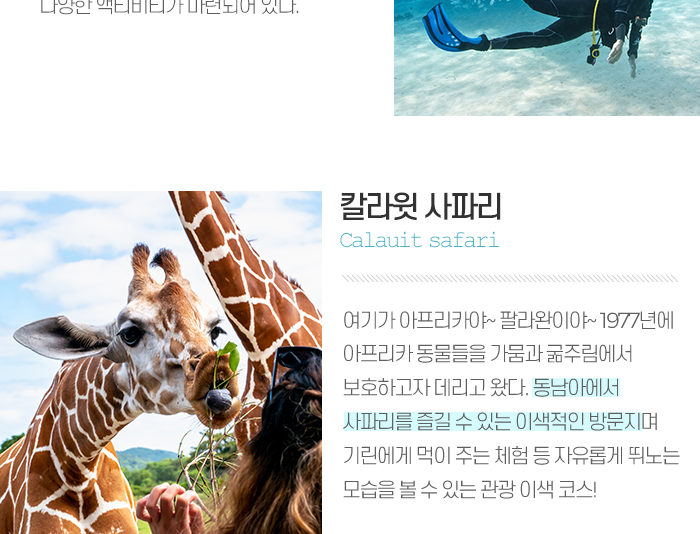팔라완 신규 취항저격