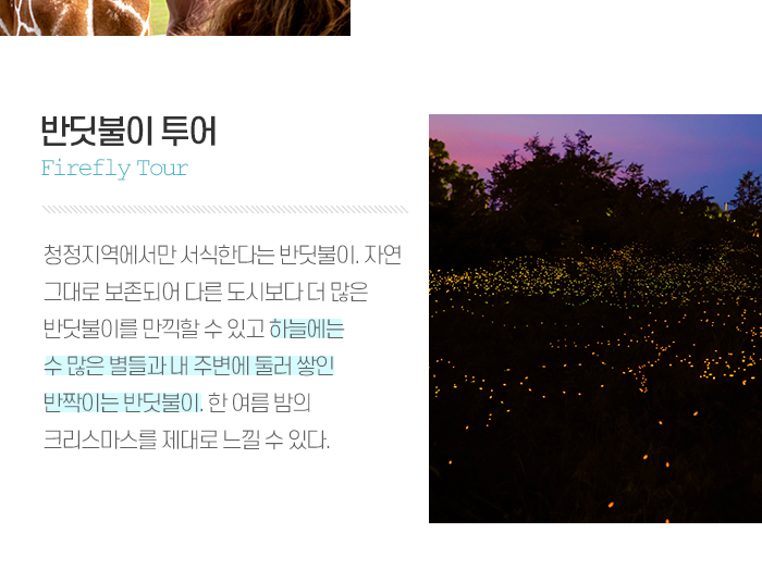 팔라완 신규 취항저격