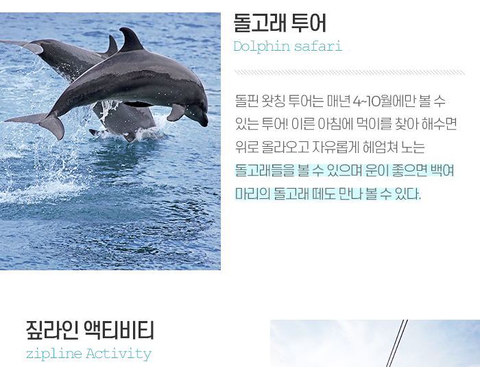 팔라완 신규 취항저격