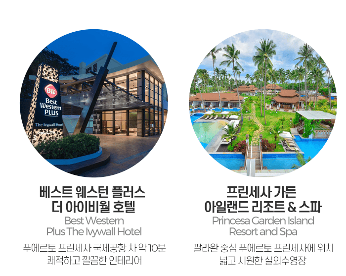 팔라완 신규 취항저격
